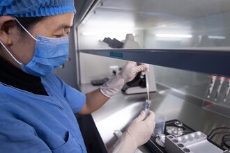 Ген CCR5 и интеллект: неожиданные последствия редактирования ДНК