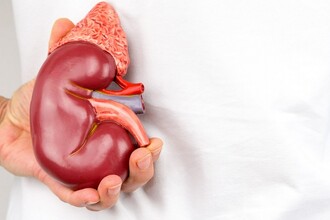 Загадочная эпидемия почек: почему гибнут фермеры Центральной Америки