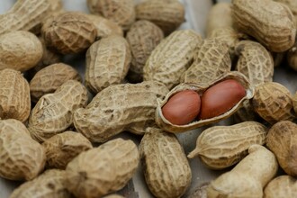 Пищевая аллергия: почему антитела IgE атакуют организм и как это остановить