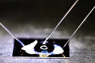 Новый биосенсор для ранней диагностики болезней Альцгеймера и Паркинсона