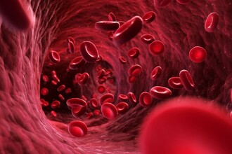 Автономный робот-катетер: как беспилотники проводят операции на сердце