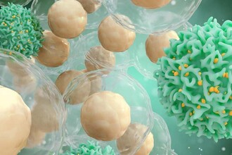 Новая цель для лечения рака поджелудочной железы: белок PRDX4 как ахиллесова пята