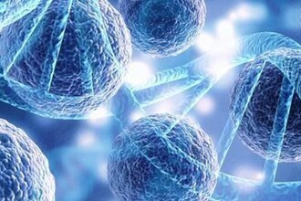 CRISPR и иммунные клетки: прорыв в лечении солидных опухолей