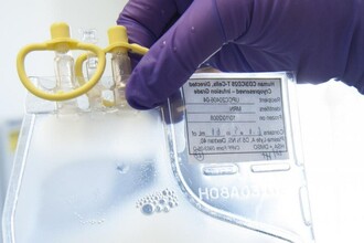 Прорыв в лечении рака поджелудочной железы: как взламывают защиту опухоли