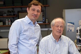 Новые подходы к лечению поликистоза почек: перспективы терапии