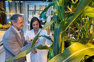 Генное редактирование растений: как создать новые сорта без разрушения клеток