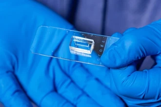 Как создают искусственные сосуды для тестирования лекарств