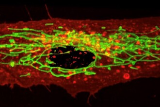 Биомаркеры в крови: как метаболизм предсказывает суицидальный риск при депрессии