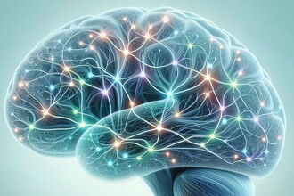 У мозга два типа связи: как нейроны общаются между собой