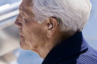 Тугоухость и память: как глухота старит мозг мышей