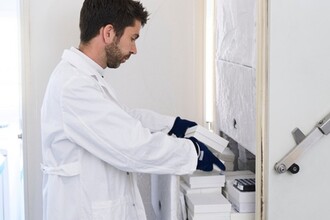 Кишечные бактерии Bacteroides извлекают из пищи больше калорий