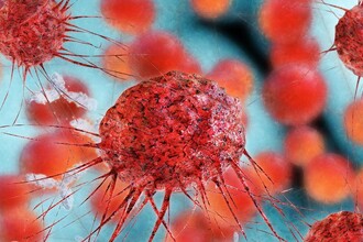 Молекула C26: как остановить возвращение рака после операции