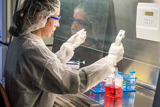 Новый препарат против рака: как AOH1996 точечно атакует белок PCNA