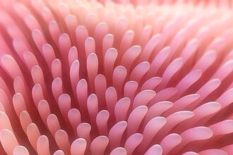 Тайный диалог: как кишечные бактерии управляют генами и поведением хозяина