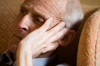 Кишечные бактерии запускают болезни мозга? Опыт на червях