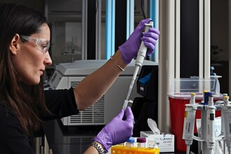 Белок DC-SCRIPT: ключ к усилению естественной защиты от рака