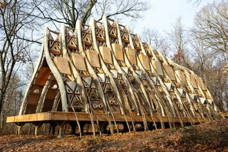 Дом, который растёт: как живые деревья становятся стенами будущих коттеджей