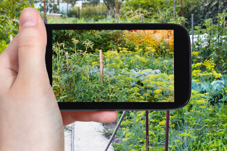 Гаджеты для дачи: 20 полезных устройств для умного дома и отдыха