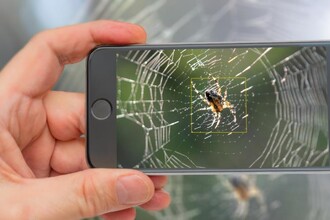 Лучшие смартфоны для макросъёмки: как выбрать устройство для фото вблизи