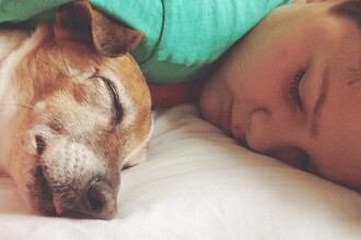 Парадокс недосыпа: как бессонница укрепляет связи в мозге