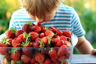 Кишечные бактерии против аллергии: прорыв в лечении иммунитета