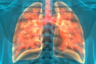 ХОБЛ и кишечник: как бактерии в животе влияют на здоровье лёгких