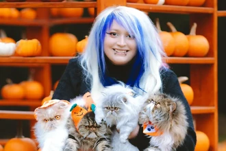 Ученые подтвердили: хозяева кошек склонны к невротизму. В чем причина?