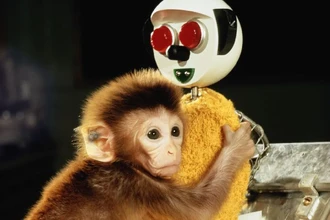 Гарри Харлоу: как жестокие опыты с обезьянами доказали важность любви