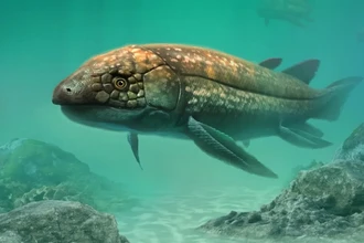 Найдена древняя рыба с лёгкими: новый вид из Зимбабве возрастом 210 млн лет