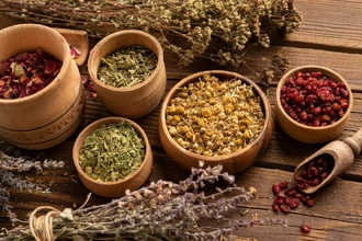 Какие дикие растения России опасны для здоровья? Рейтинг от ученого