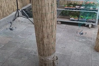 Как учёные учат дроны летать роем, наблюдая за птицами и пчёлами