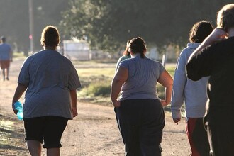 Ожирение и воспаленный кишечник: скрытые угрозы для мозга и памяти
