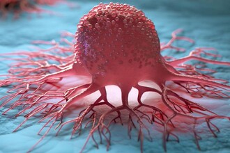 Рак в движении: как клетки меняют форму для образования метастазов