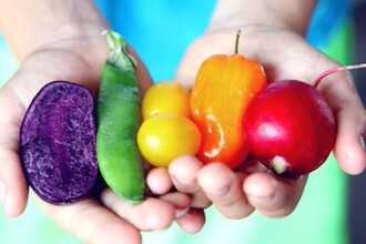 Растительная диета против болезней: как еда защищает сердце, мозг и иммунитет