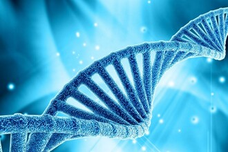 Секрет выживания на Марсе: могут ли гены тихоходок изменить человека?