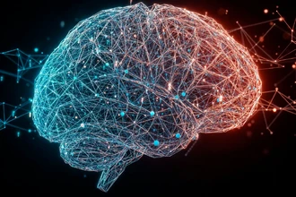 Зачем мозгу человека нужно так долго взрослеть по сравнению с обезьяной