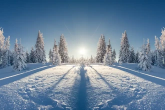 Когда можно выезжать на лыжах и снегоходе: нужная толщина снега