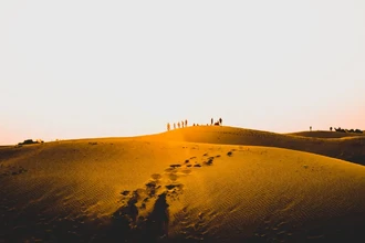 Рекорд жары: Земля пережила самый жаркий день в истории