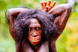 Почему мы, Homo sapiens, пережили всех своих родственников-гоминин?