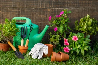 Какие растения на даче под запретом: сорняки и опасные культуры