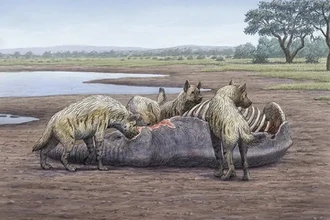 Древняя ловушка: как зыбучие пески делали мамонтов добычей людей и гиен