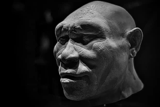 Первые люди в Европе: как предки человека преодолели Гибралтар 1,3 млн лет назад