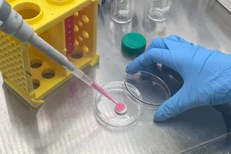 Учёные раскрыли секрет, как придать выращенному в лаборатории мясу настоящий вкус и аромат