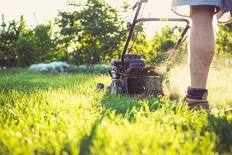 Правильная стрижка газона: как сохранить траву и помочь насекомым