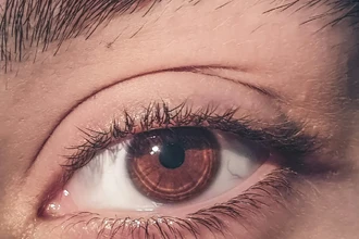 Как мозг превращает увиденное в эмоции и действия: новое открытие