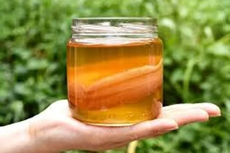 Как приготовить комбучу дома: простой рецепт чайного гриба