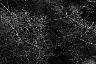 Рекорд скорости: новый алгоритм для расчета идеальных потоков в сетях