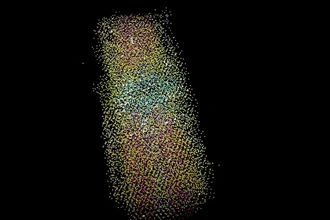 Tabulae Paralytica: как клеточный атлас открывает путь к лечению травм спинного мозга