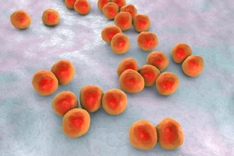 Кишечные бактерии против иммунотерапии рака: как микробиом ломает лечение и что делать