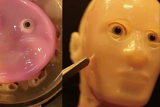 Робот с живой кожей: ученые создали лицо с человеческой мимикой